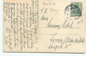 Pologne - PELPLIN - RPPC - Apothicaire dans son magasin - Pharmac - ST140 - 136 (2).jpg