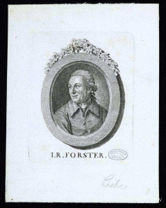 Forster, Johann Reinhold (1).jpg