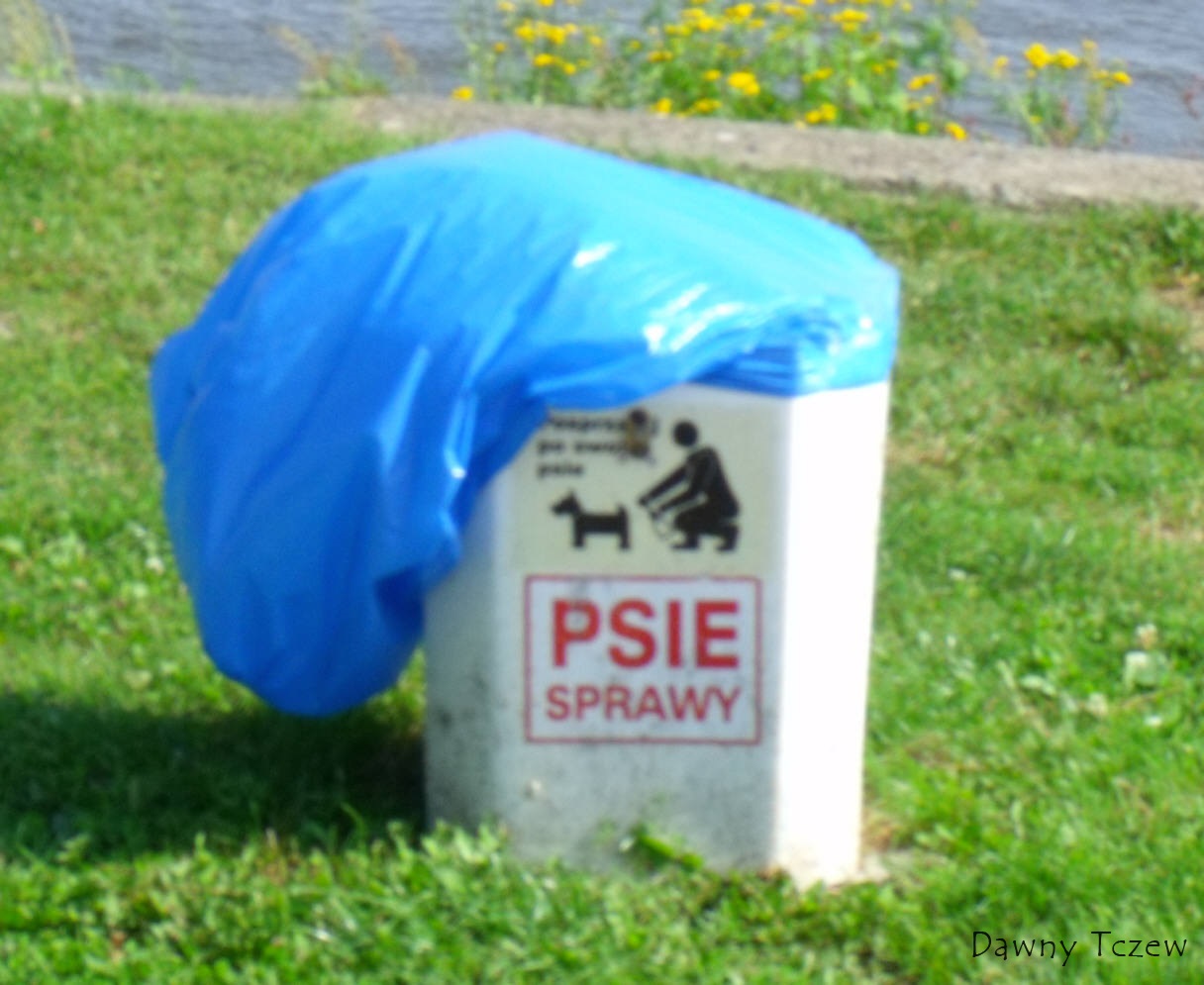 DSCF6747.jpg