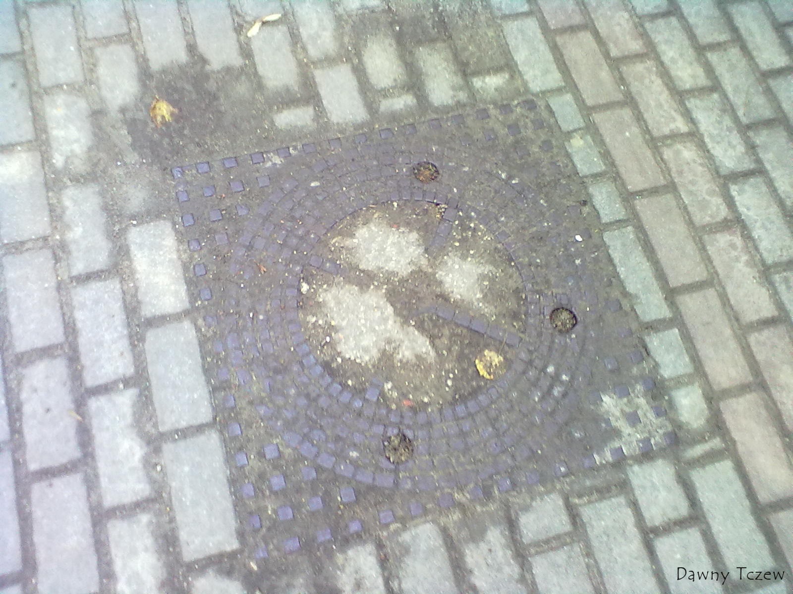 20110826518.jpg