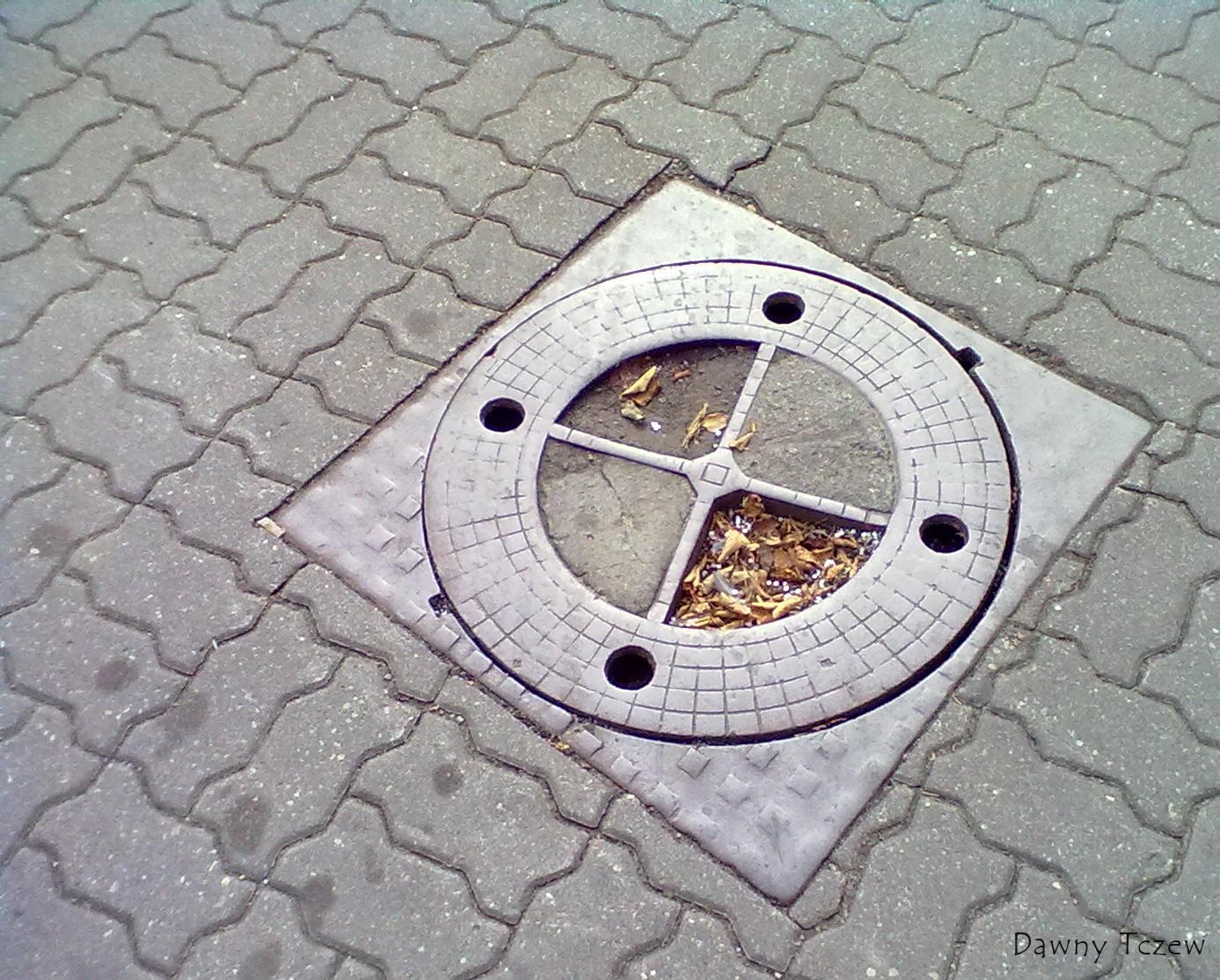 20110901534.jpg