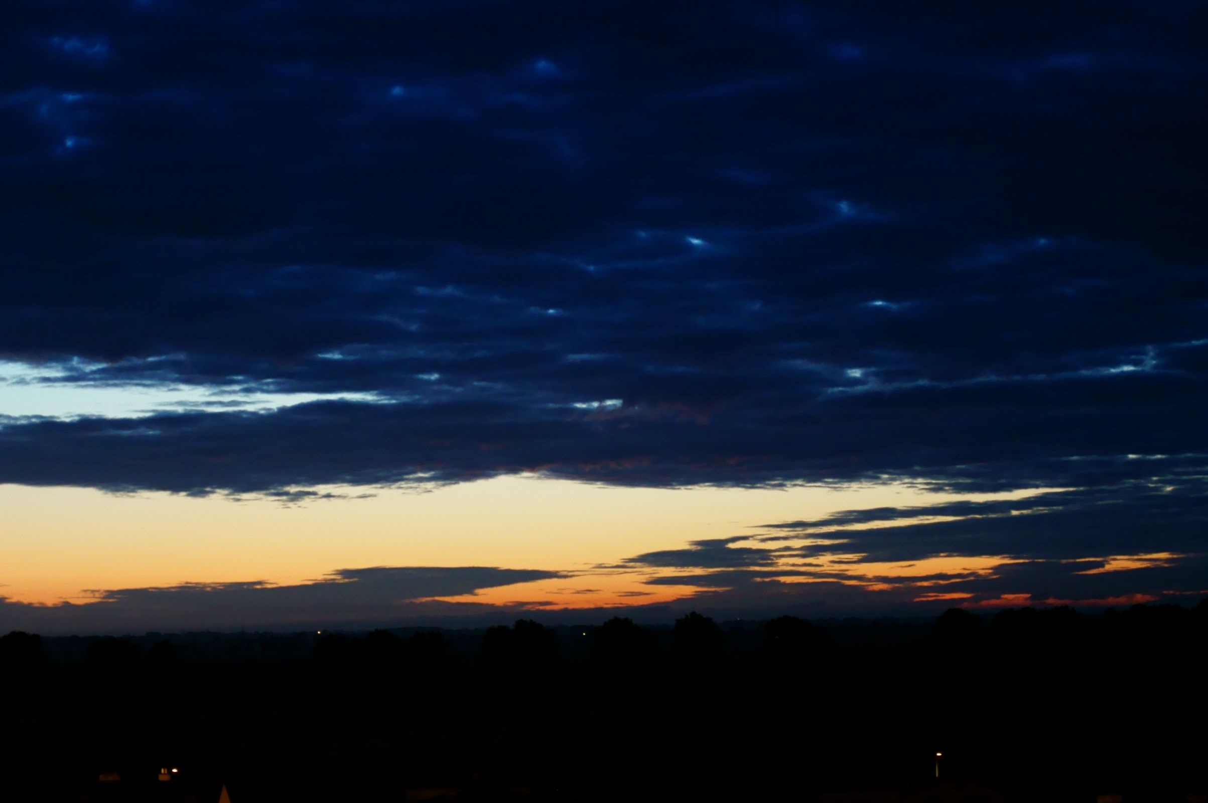 DSC01910.jpg