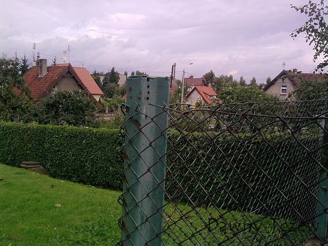 chłodna.JPG