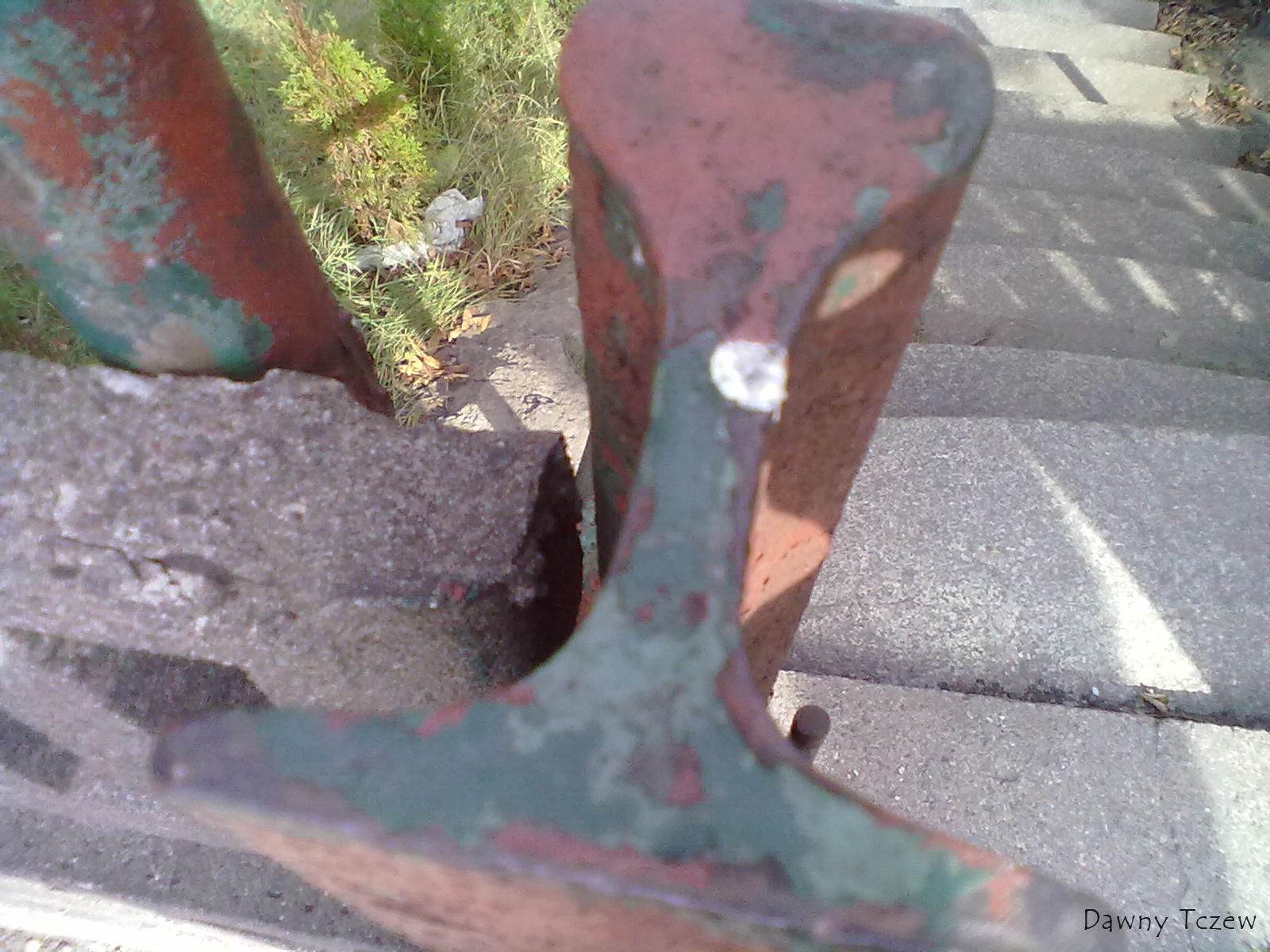 20110905558.jpg