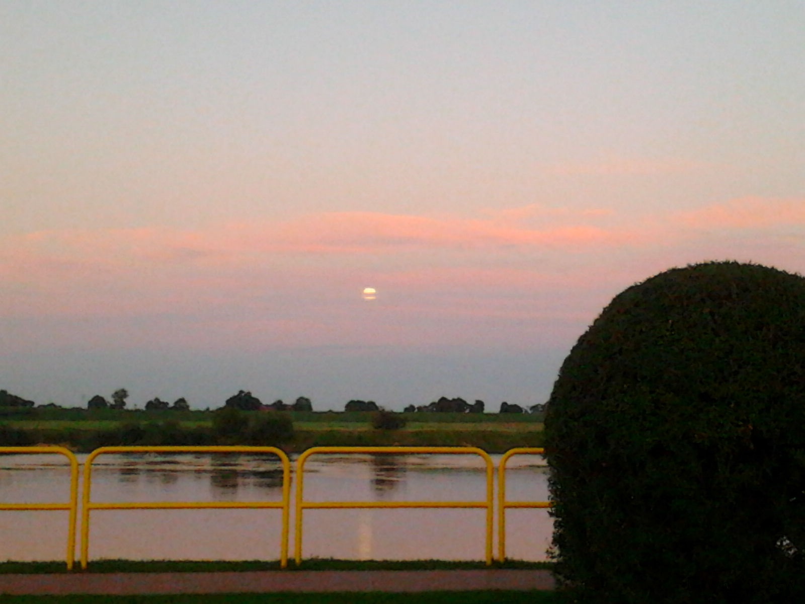 Zdjęcie0127.jpg