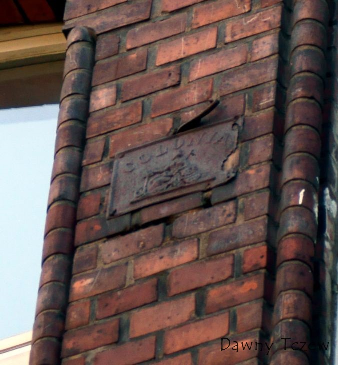 DSC02382.jpg