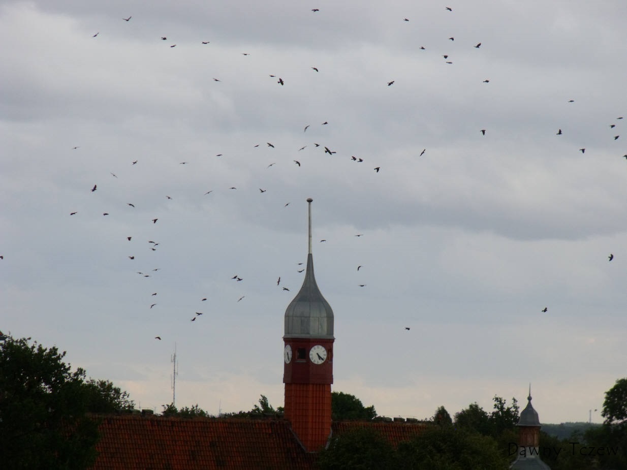 DSCF7278.jpg