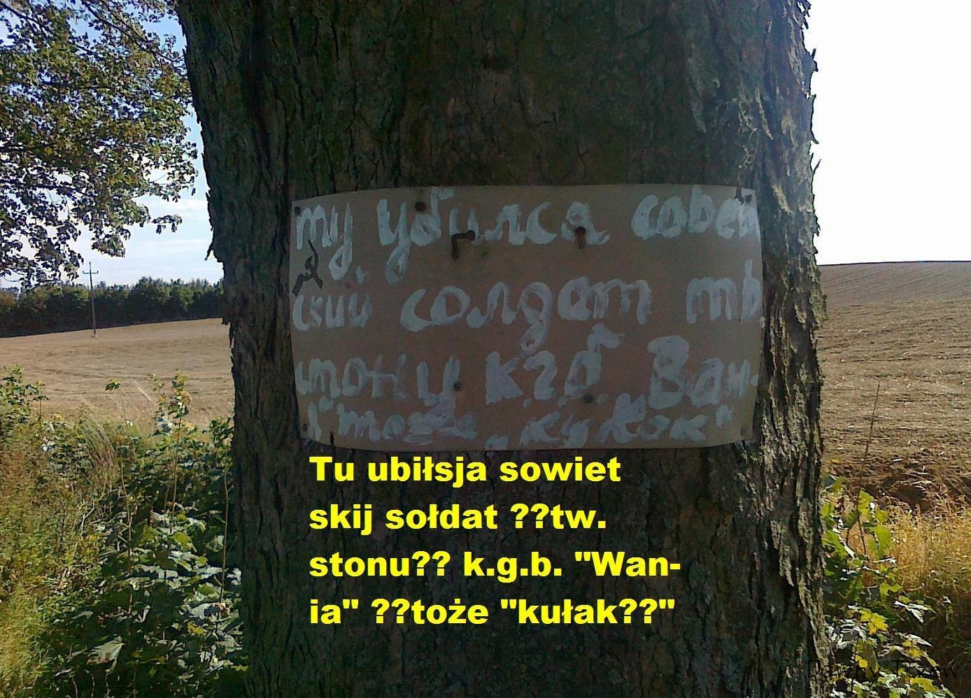 WANIA.jpg