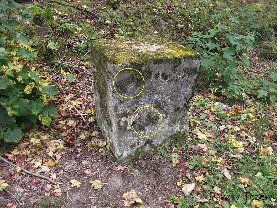 DSCF2894.JPG