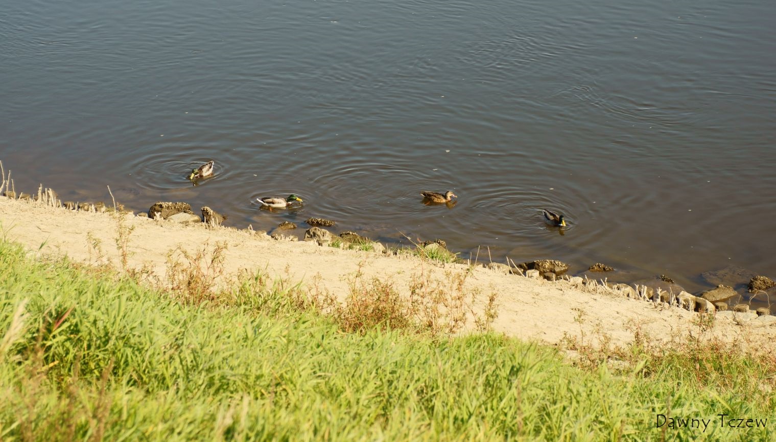 DSC02673.jpg