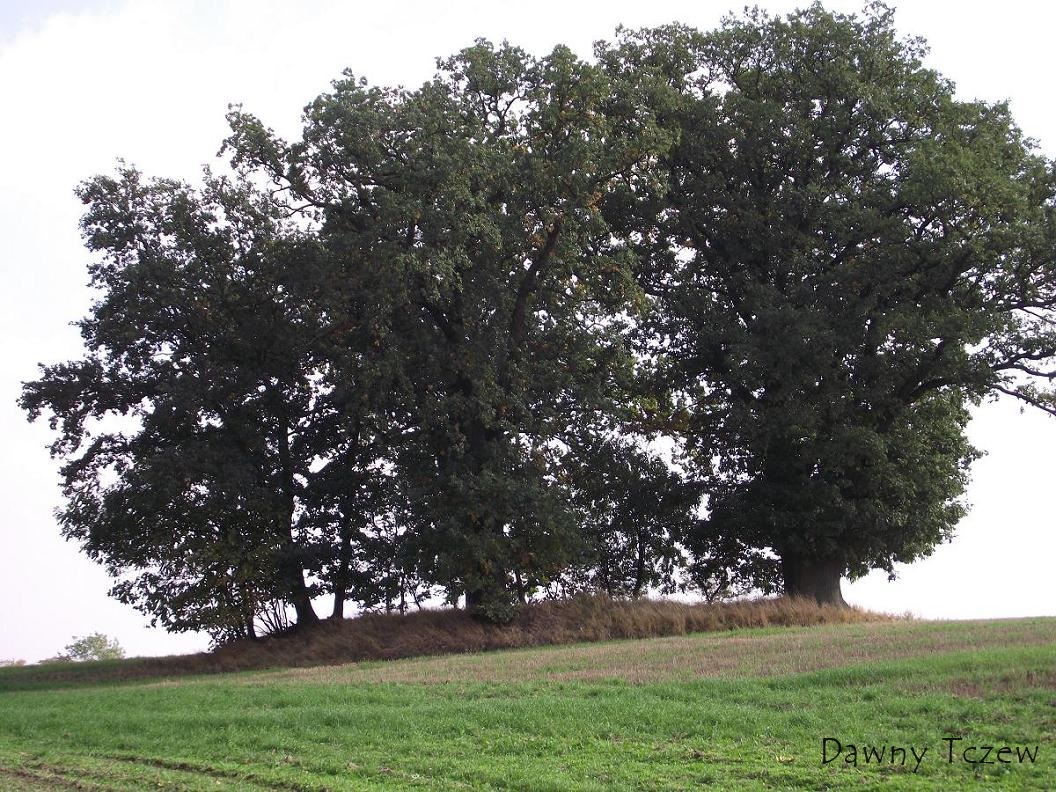 kęppa02.JPG