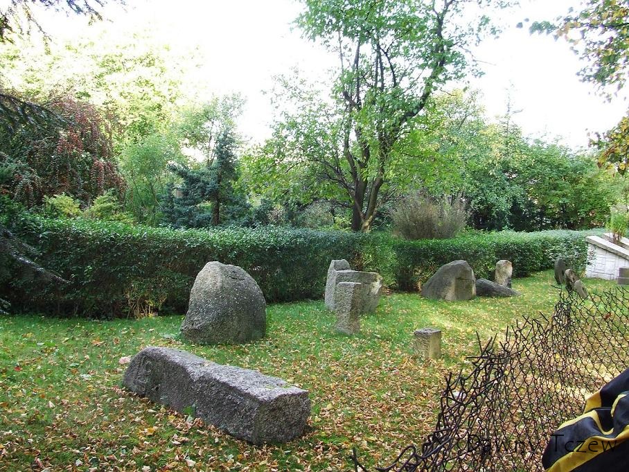 ogródek.JPG