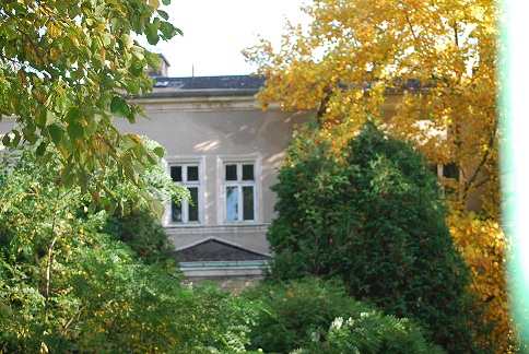 DSC_0081.JPG