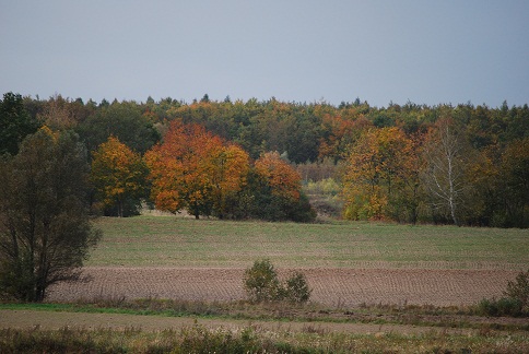 DSC_0389.JPG