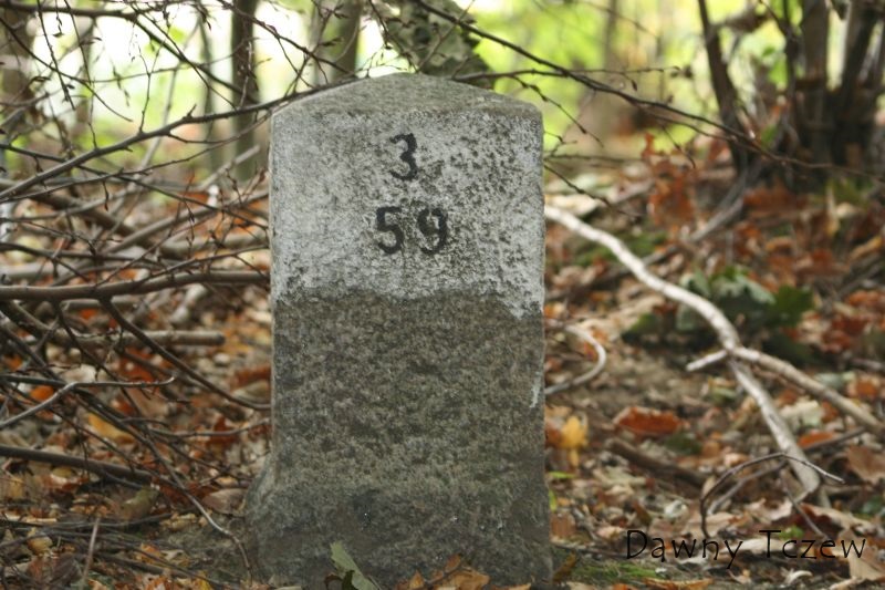 Obraz 1020.jpg