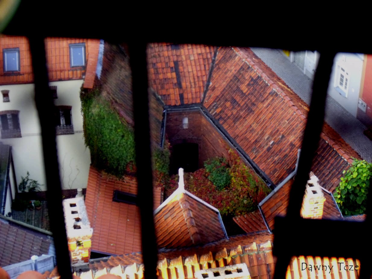 DSCF7721.jpg