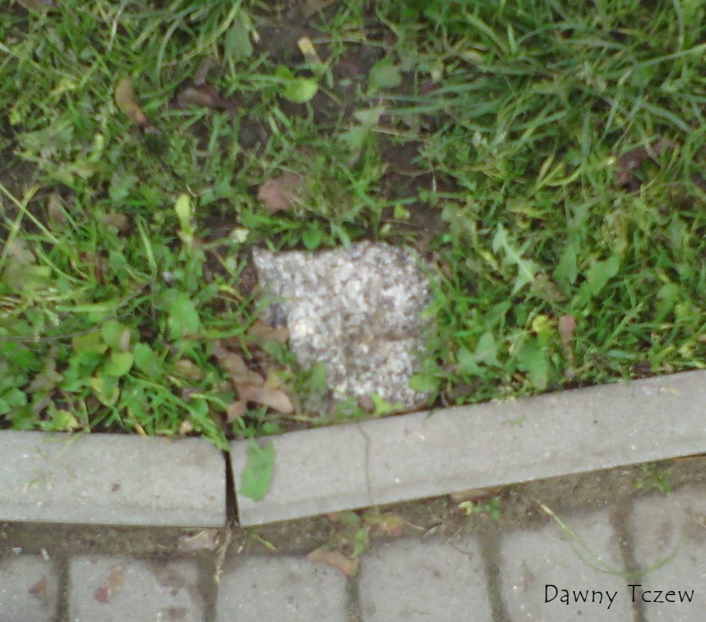 kamień 1.jpg