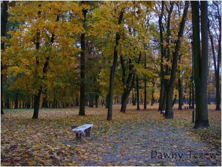 park 01,11,2011 b.jpg