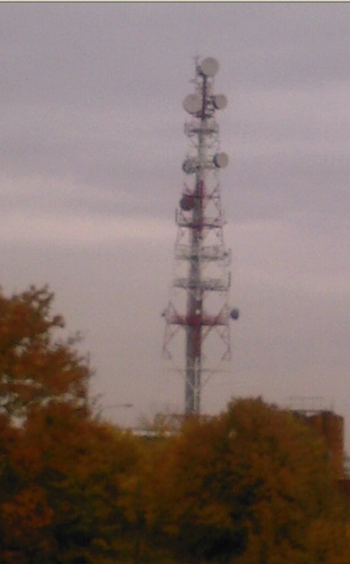 wieza.jpg