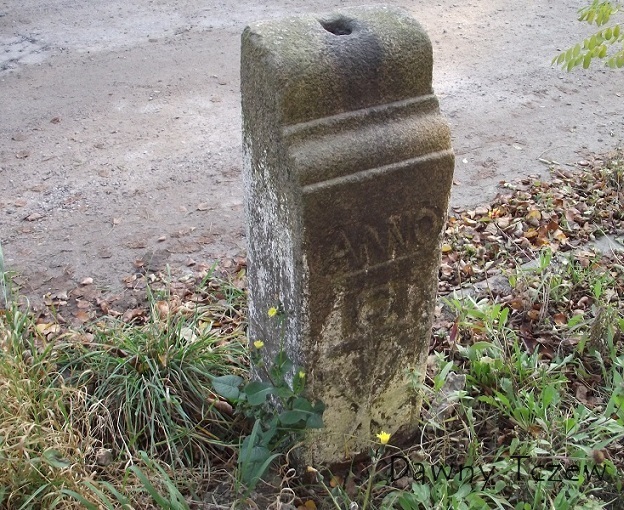 DSCF3077.JPG