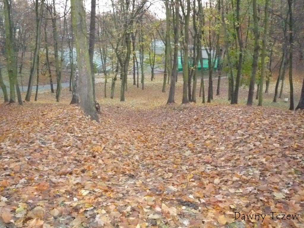 eska 2.jpg