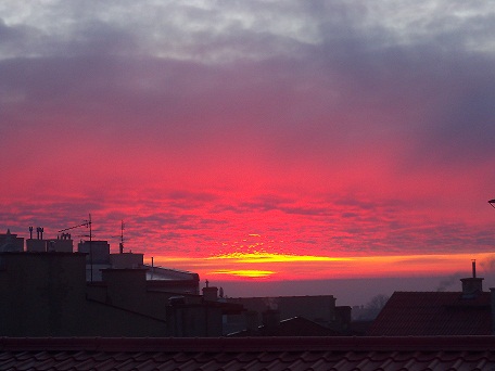 100_0079.JPG