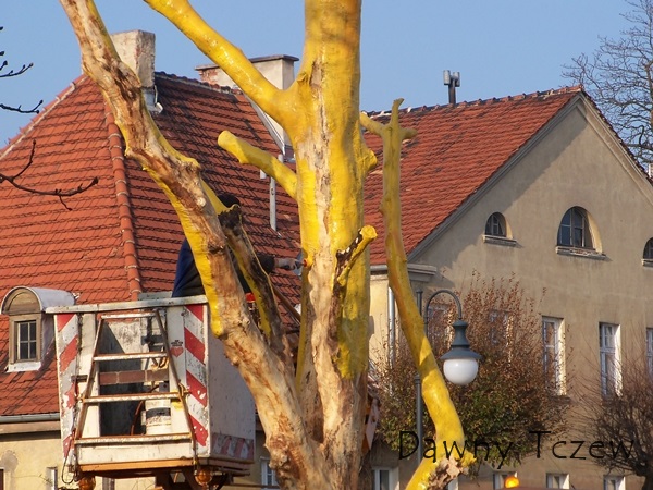 drzewa malowane 3.JPG